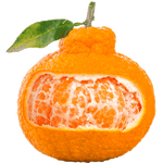 生活＆好管家四川不知火丑橘新鲜水果丑八怪丑柑应季橘子整箱柑橘应季水果 8.5-9斤中果【果径70-75mm】净重8斤