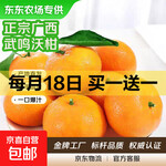 【东东农场专供】正宗广西武鸣沃柑  新鲜水果 带箱1斤装  单果55mm+ 沃柑