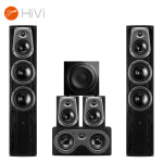 惠威（HiVi）D50HT+Sub10G音响 家庭影院套装5.1声道HIFI高保真 木质落地式 家用客厅电视音箱