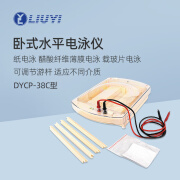 六一卧式水平电泳仪DYCP-38C实验室多用途蛋白凝胶电泳仪电泳槽 DYCP-38C（卧式水平）