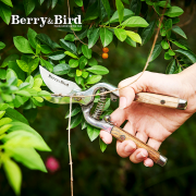 Berry&Bird园艺剪刀剪枝专业修枝果树花艺粗枝园林英国园艺bb工具 不锈钢复古修枝剪