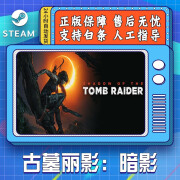 STEAM游戏 PC中文 古墓丽影：暗影 Shadow of the Tomb Raider 国区 古墓丽影：暗影 最终版