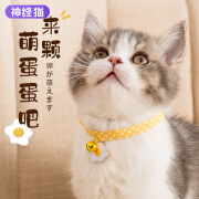 神经猫（shenjingmao）猫咪项圈可爱小荷包猫猫脖子饰品铃铛狗狗围脖猫颈圈项链宠物脖圈 黄色荷包蛋 （17-33cm）适合1-15斤