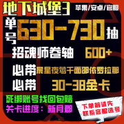 地下城堡3魂之诗初始的号自抽开局组合肝安卓苹果互通官服千面夜莺晨星本位之玉 非成交价拍错不退