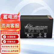 LEOCH理士LEOCH蓄电池铅酸阀控式免维护蓄电池12V7AH-12V-200AHUPS电源电梯 12V-7AH