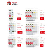 德力西DZ47SLE空气开关带漏电保护器63家用断路器220v2p32a三相 6A 1P