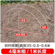 新型小拱棚支架菜棚拱杆蔬菜地保温棚玻璃钢实心玻璃纤维农用育苗 4毫米粗-1米长 10根装