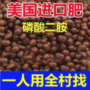 二铵化肥高含量通用于小麦玉米水稻药材各种农作物速溶型肥料 一袋5斤装二铵化肥_美国进口原料