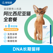 阿比猫舍定制｜宠知因阿比西尼亚猫全套餐(血型+颜色+疾病筛查) 阿比索马里宠物猫咪基因检测 种猫检测