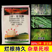 胜邦绿野 GREEN LAND笔管劲锄2二甲草甘磷除笔管草专用农药烂根连根死杂草除草剂 50g