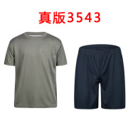 夏季体能服短袖套装男T恤速干短裤体能训练服透气运动圆领t恤 真品灰色套装【上衣+短裤】 175/92-96中等