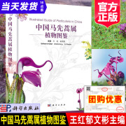 2024新书 中国马先蒿属植物图鉴 王红郁文彬主编中国科学院昆明植物研究所植物分类吴征镒进化保护生物学生态学植物资源学参考图书科学出版社