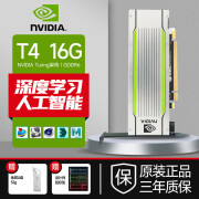 NVIDIA英伟达（NVIDIA）Tesla系列T4/A10/A800/V100深度学习GPU训练推理高性能显卡 Tesla T4 16G