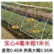 穆淳傲小拱棚支架玻璃纤维弹力杆实心拱形蔬菜棚保温棚花棚大棚骨架农用 4毫米粗1米长20根适合 跨度0.5