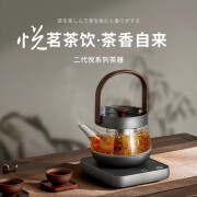 智蔚电热烧水壶 煮茶器 玻璃家用煮茶壶陈皮白茶专用静音煮茶器办公室小型养生 ;ZW-810灰(600ml)