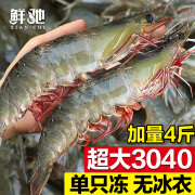 鲜驰 虾 国产青岛大虾 青虾白虾海虾基围虾冷冻生鲜 虾类 海鲜水产 30/40规格【超大虾】 盐冻4斤装 【净虾重3.5斤】