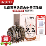 新益号茶叶普洱茶生茶云南冰岛五寨古树茶生普洱茶大分量自己喝送礼盒装 冰岛五寨古树普洱生茶500克*1盒