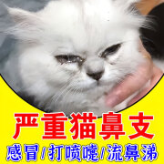 猫鼻支专用特猫咪感冒发热打喷嚏流鼻涕鼻炎鼻塞效营养补充剂增强免疫力L 单盒装