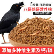 宝宠派八哥专用粮食精品营养鹩哥鸟食海八黑八专用鸟粮鸟饲料开口5斤装 开口5斤装