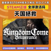 电脑游戏Steam激活码 全DLC国区cdkey 激活入库 正版游戏 包更新 天国拯救 终极版【本体+全DLC】激活码