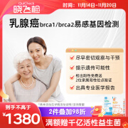 迪安晓飞检乳腺癌brca1/2基因检测卵巢癌易感基因女性家族遗传基因筛查 乳腺癌/卵巢癌BRCA1/2基因检测