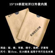 旭杉斯套梨专用袋子 双层外黄内黑 黄金梨套袋 桃子防水防虫保护袋 15*18(单层平口外黄内黑100个)