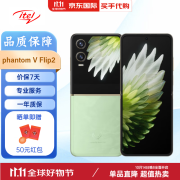 itel TECNO Phantom V Flip2 折叠屏手机 传音phantom v flip2 国际版 石灰华绿 256G