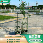 DAIM花架爬藤架蔷薇月季圆环自由搭配杆子西红柿圆型固定支撑杆不生锈 直径22cm