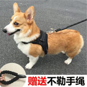 五尾一角狗绳 狗狗牵引绳背心式遛狗绳子胸背带柯基柴犬中大型犬狗链子 黑色胸背+1.5米牵引绳 M(建议18-35斤)