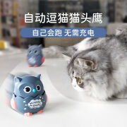 猫头鹰猫咪用品 猫玩具自嗨逗猫棒磨牙薄荷解闷宠物用品神器自动无需电池猫咪自嗨玩具按压式猫咪玩具 颜色随机发