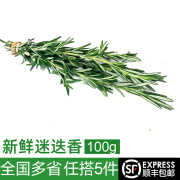 绿食者 新鲜迷迭香100g 迷失香草食用牛排调料西餐烧烤香料 250g