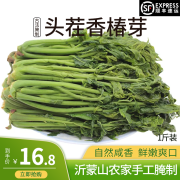 蒂凯 香椿芽咸菜山东特产新鲜腌制香椿头下饭菜1000g腌菜头茬香椿 头茬香椿1斤【1袋】