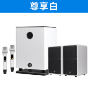 百威（baiwei）M8专业2.1家庭影院组合音响KTV电视电脑K歌音箱套装环绕音效大功率 百威M8白色2.1家庭影院音响套装