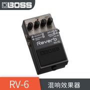 BOSS DD3-T DD8 RV6 TE2 RV500数字延迟混响电吉他单块效果器 RV6 混响