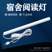 双韵唯小台灯护眼书桌大学生宿舍神器led学习床头充电酷毙灯管 30cm-白光-无开关-USB线 按钮开关