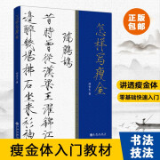 怎样写瘦金 邱金生 著 软笔毛笔字练习基础入门教程图书 毛笔字帖专业书籍 九州出版