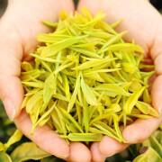 欢乐婆  2024年新茶春茶浙江安吉明前一级黄金芽浓香耐泡茶叶250g铁盒装 250g