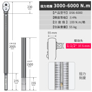 DAREX 中国台湾品牌扭力扳手套装预置式高精度可调公斤扭矩扳手火花塞 3000-6000N.m【1.5寸】