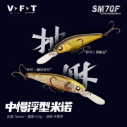 VFT托马斯中慢浮悬浮远投竞技路亚假饵翘嘴鲈鱼硬饵仿生鱼饵 4.5g-003冰川黄条