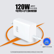 桐鑫通（Telecom-eXperT）适用VIVO充电器头120W闪充X90/X80/S16/IQOO10/9快充头X Flod2手 电竞闪充旗舰版[兼容120W闪充]