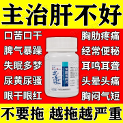 北京同仁堂龙胆泻肝片丸100片 官方正药 养肝护肝清肝专用阴囊潮湿搭配肝郁脾虚加班应酬口苦湿气重去火 2盒 【熬夜加班 口苦尿黄 头晕耳鸣】