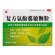 龙城 复方氨酚那敏颗粒 10g*10袋发热鼻塞四肢酸痛 1盒装