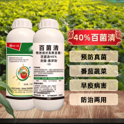 禾益 40%百菌清 番茄西红柿蔬菜绿植基地早疫病害农用杀菌剂 1000g/瓶