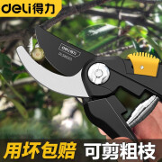 得力（deli）剪枝剪刀园林花艺修剪树枝剪刀果树剪子大剪园艺工具剪刀 【简约款】8英寸修枝剪 DL580201