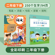 24年9月新版人教部编版语文生字描红本一二三年级上下册语文课本同步儿童控笔训练笔顺笔画偏旁硬笔写字 2年级下册