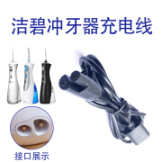 洁碧（Waterpik）waterpik洁碧冲牙器WP450 WP462EC/GS8-1水牙线配件充电器充电线 充电器+标准喷头 1支 0支喷头