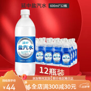 延中盐汽水600ml12瓶箱上海正宗经典含盐碳酸饮料咸味汽水整箱 12瓶 6