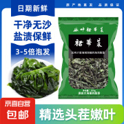 盐渍裙带菜 海白菜海蔬菜海带 凉拌火锅食材 盐渍裙带菜100g*1袋（3-5倍泡发）