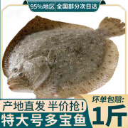 新食道多宝鱼【大规格】 新鲜活冻比目鱼 精选海捕海鲜水产 3条（600g左右/条）