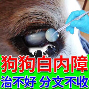 狗狗白内障专用滴眼液眼药水中老年犬视力下降眼部白膜护理老年犬 单瓶装【狗狗白内障专用】